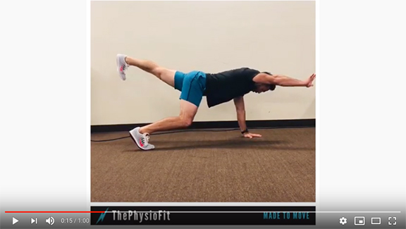 The Flying Bird Dog Exercise – Great Core and Rotary Stability Exercise Progression